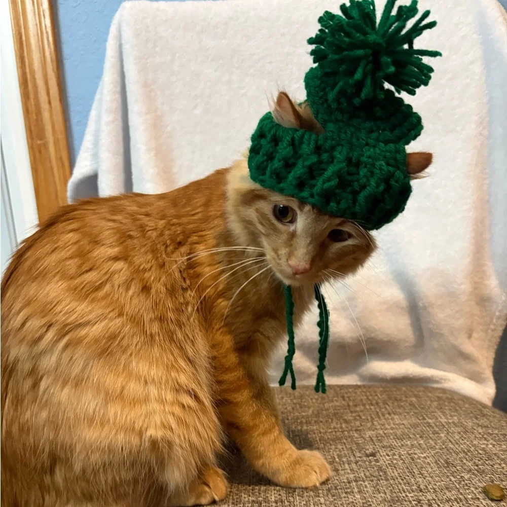 Green Cat Hat stocking hat